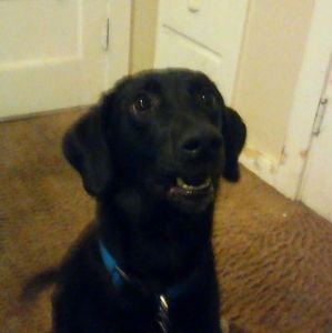 Meet your Posher, Edwin